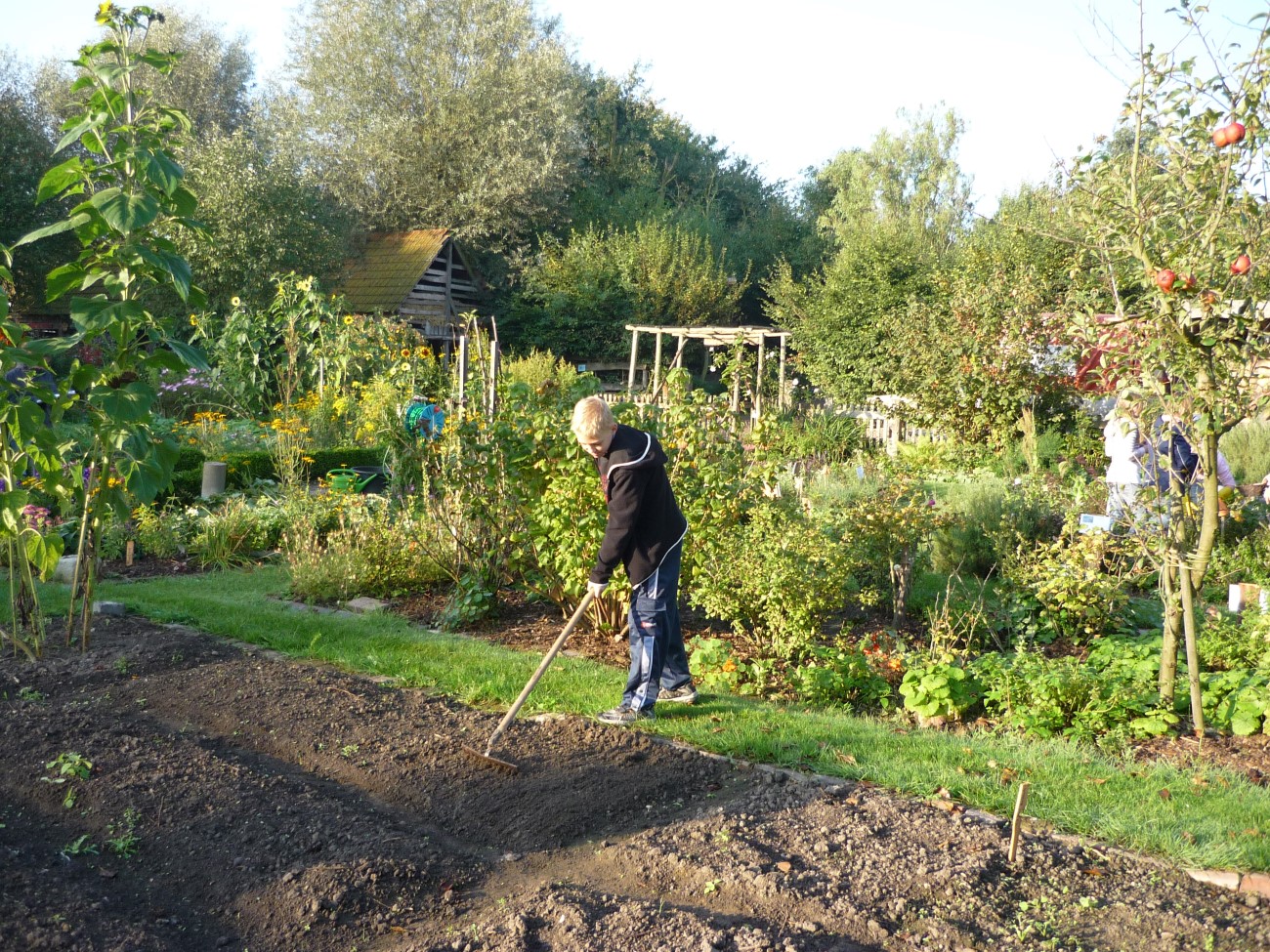 bauerngarten (4)